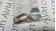 BALLUFF BMS CS-M-D12-IZ