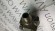 BALLUFF BIS M-352-001-S115