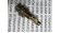 Balluff Bes 516-367-S4-C