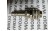 Balluff Bes M12MI-PSC20B-S04G