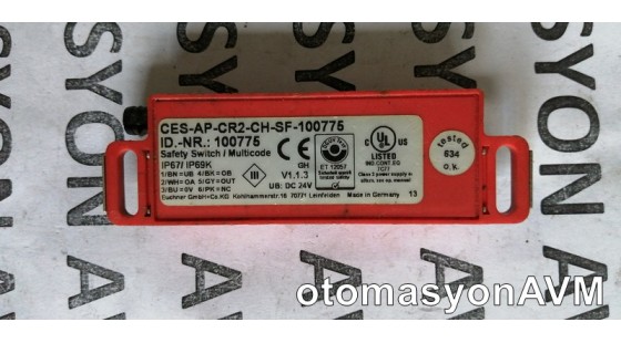 Euchner CES-AP-CR2-CH-SF-100775