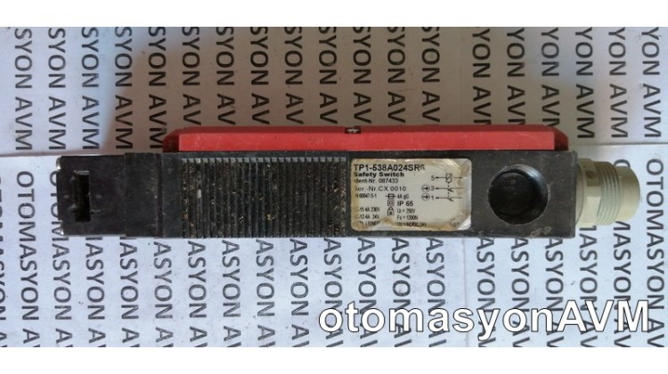 Euchner TP1-538A024SR6