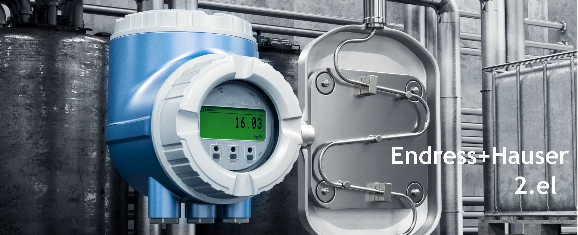 ENDRESS+HAUSER Controller (Second hand version)